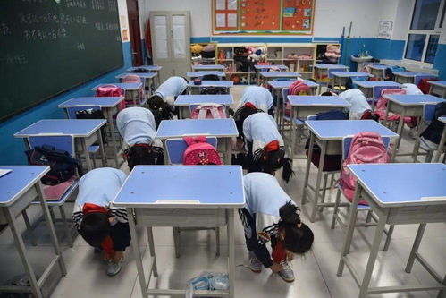 五育并舉 服務(wù)雙減 塔河一小勞動教育創(chuàng)新檢測策略的實踐與探索